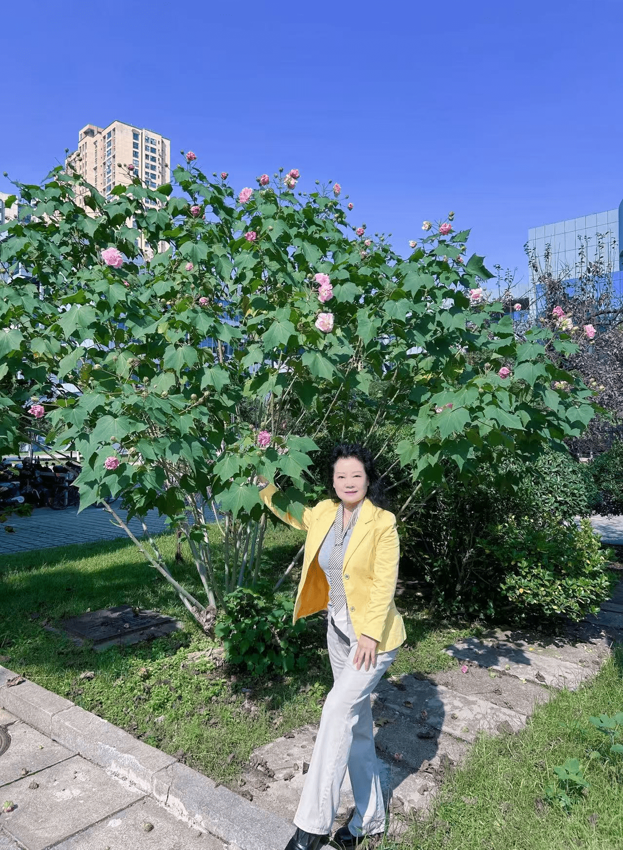 圖片13_new 圖片13_new