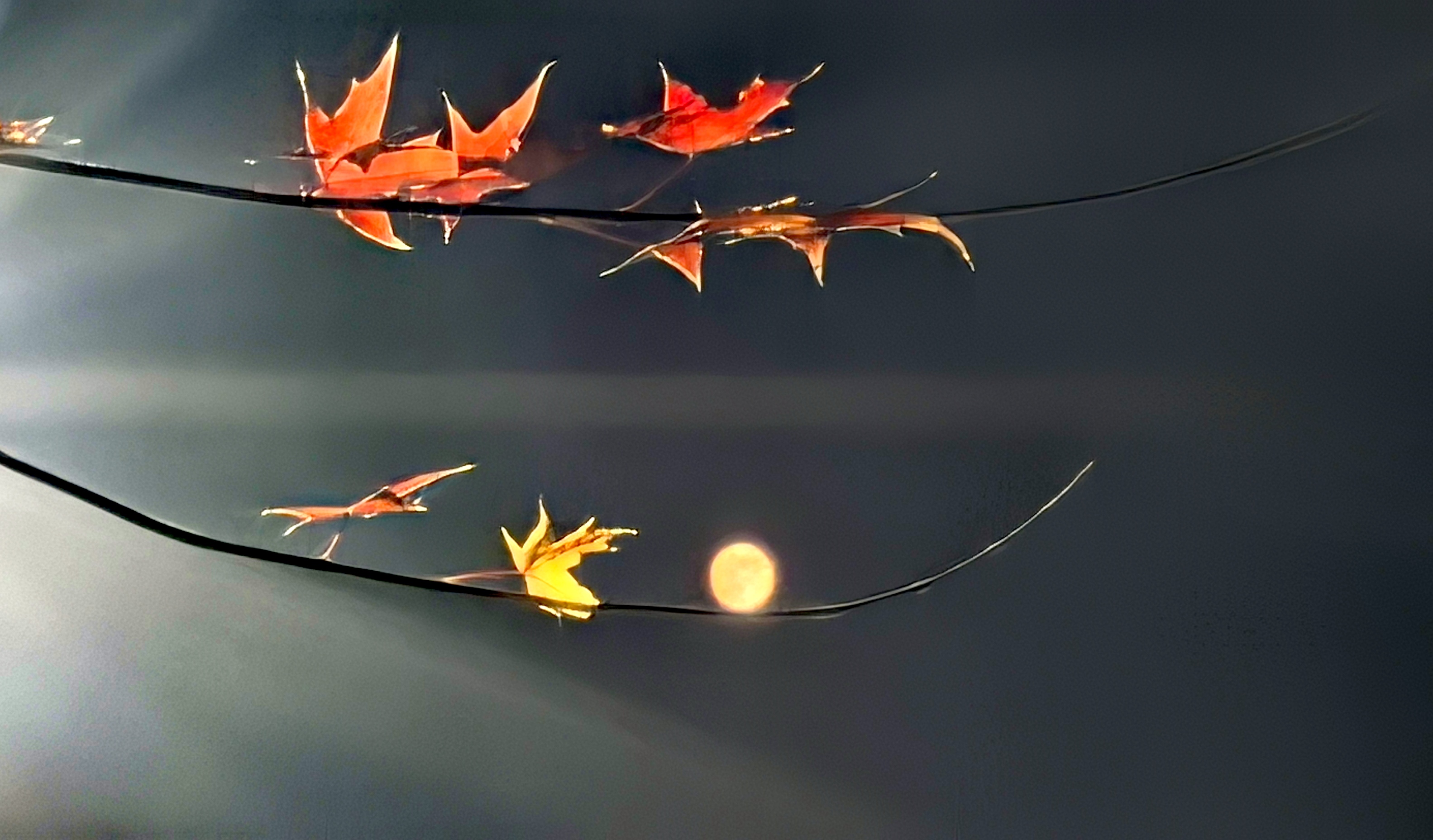 微信圖片_20251211102715_2_44 微信圖片_20251211102715_2_44