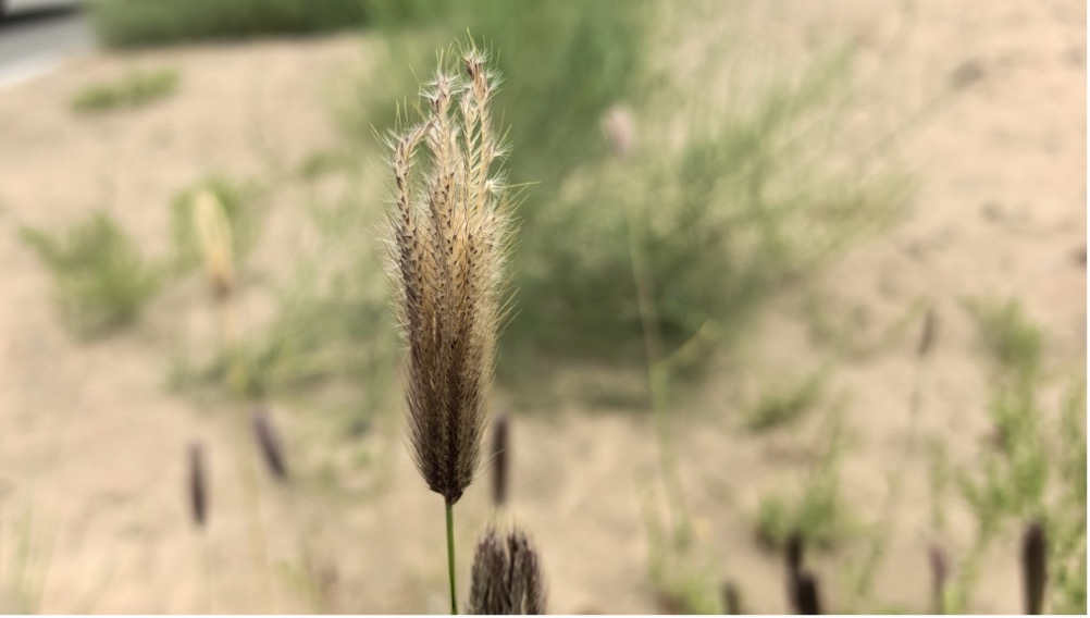 圖片 3jpg 圖片 3jpg