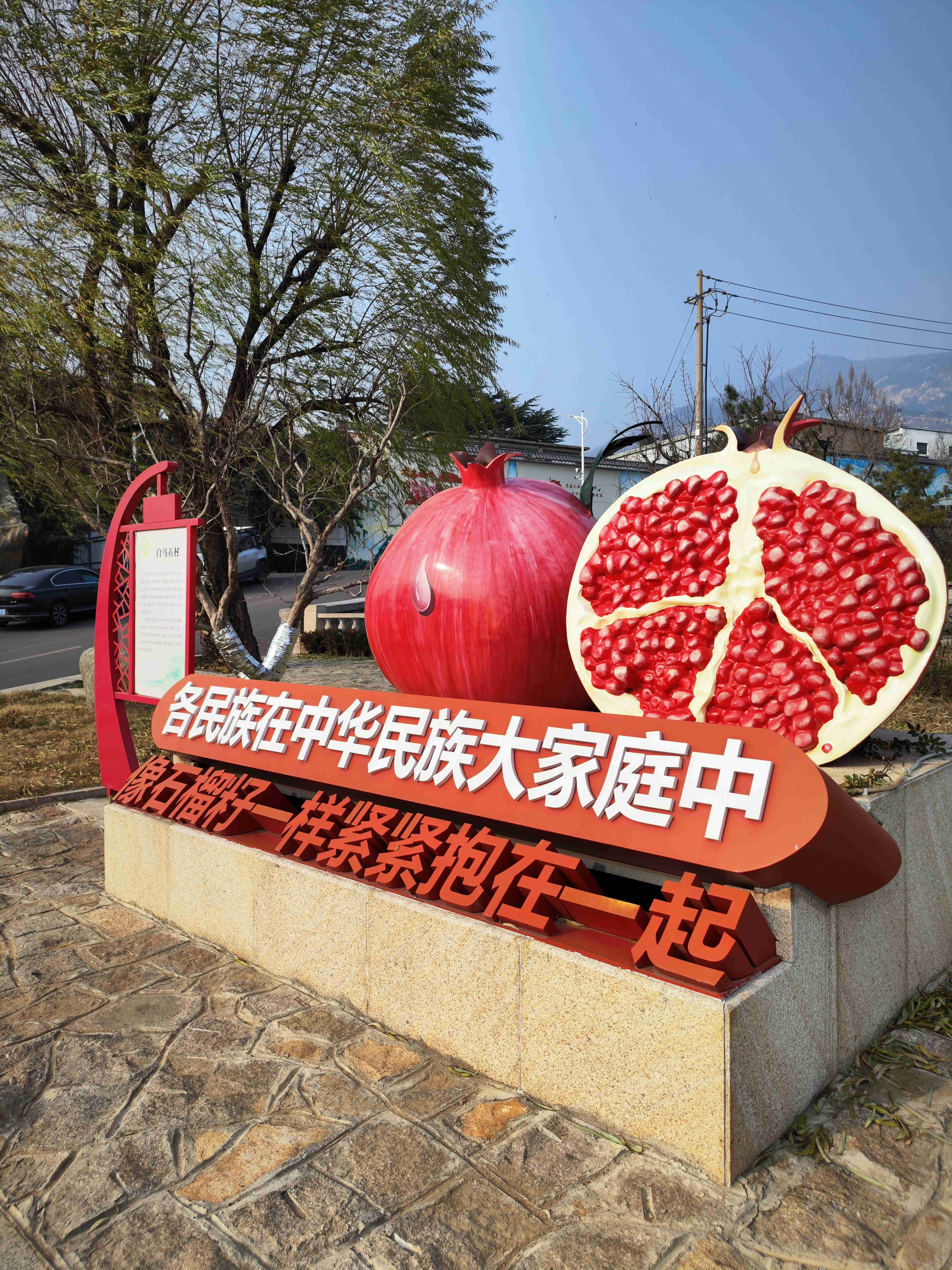 IMG_20251219_102650_new