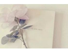 {t.title}